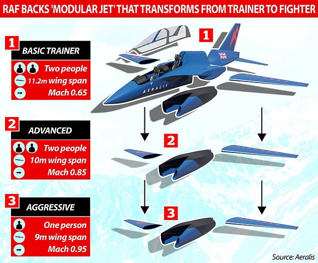 British firm Aeralis to win deal to build replacement for RAF Red Arrows Hawk T1 Trainers