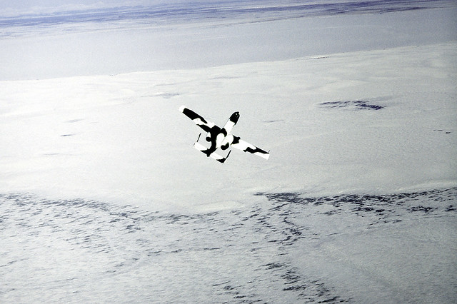 A-10 at Exercise COOL SNOW HOG '82-1