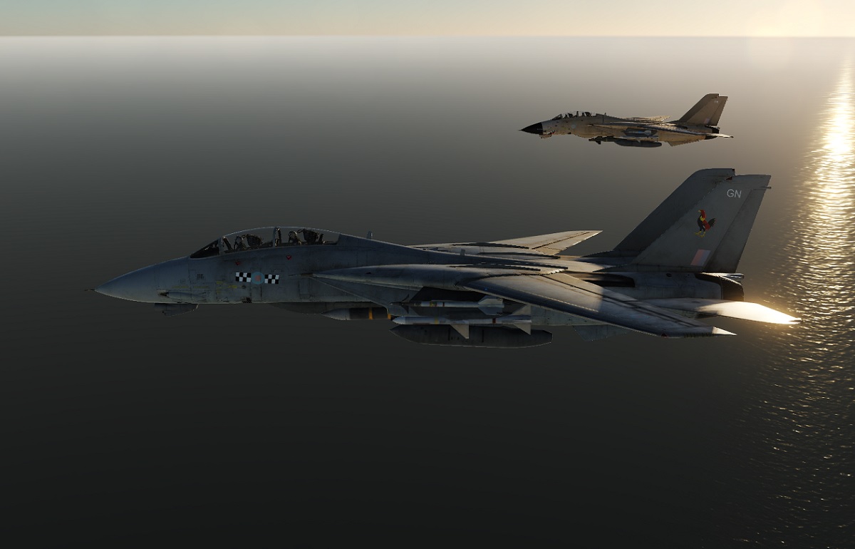 RAF F-14s