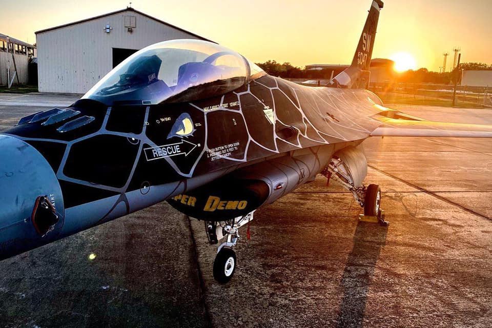 Meet Venom: F-16 Viper Demo Team's new cool Special Painted jet 