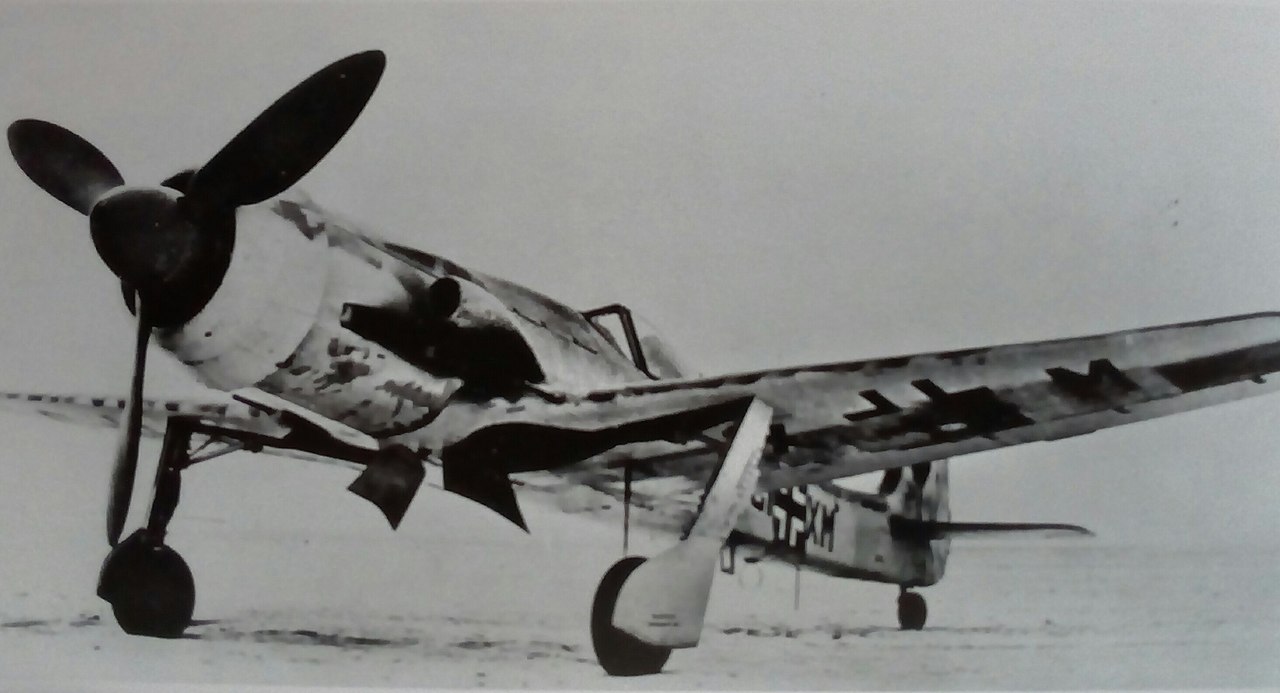 These prop WWII fighters were (slightly) better than the P-51D Mustang