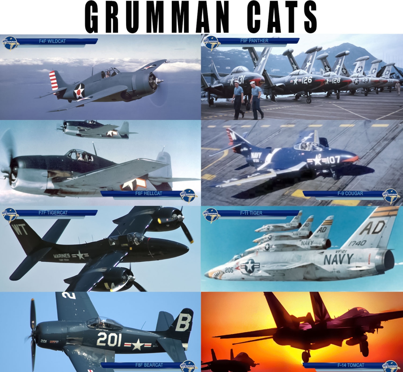 The Story of the Last Aviator to fly All the Grumman Cats