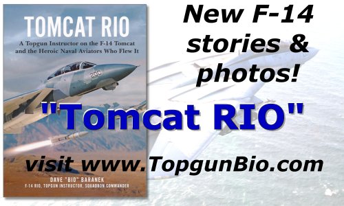 Tomcat RIO