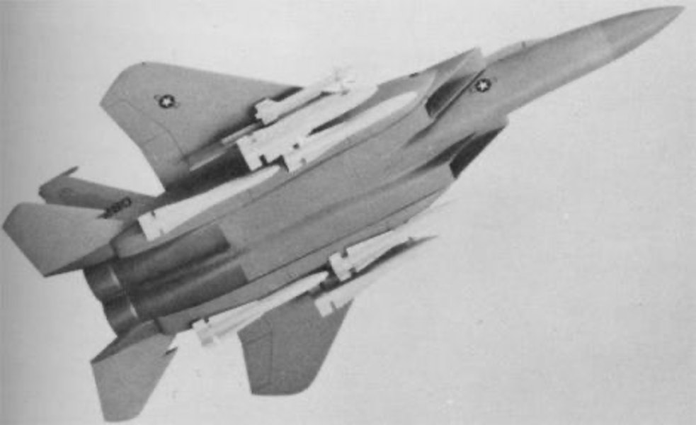 The F-15N Sea Eagle: in the 1970s McDonnel Douglas proposed a navalized version of the F-15 Eagle but it was never up to the F-14 Tomcat