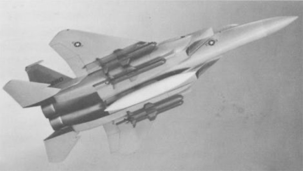 The F-15N Sea Eagle: in the 1970s McDonnel Douglas proposed a navalized version of the F-15 Eagle but it was never up to the F-14 Tomcat