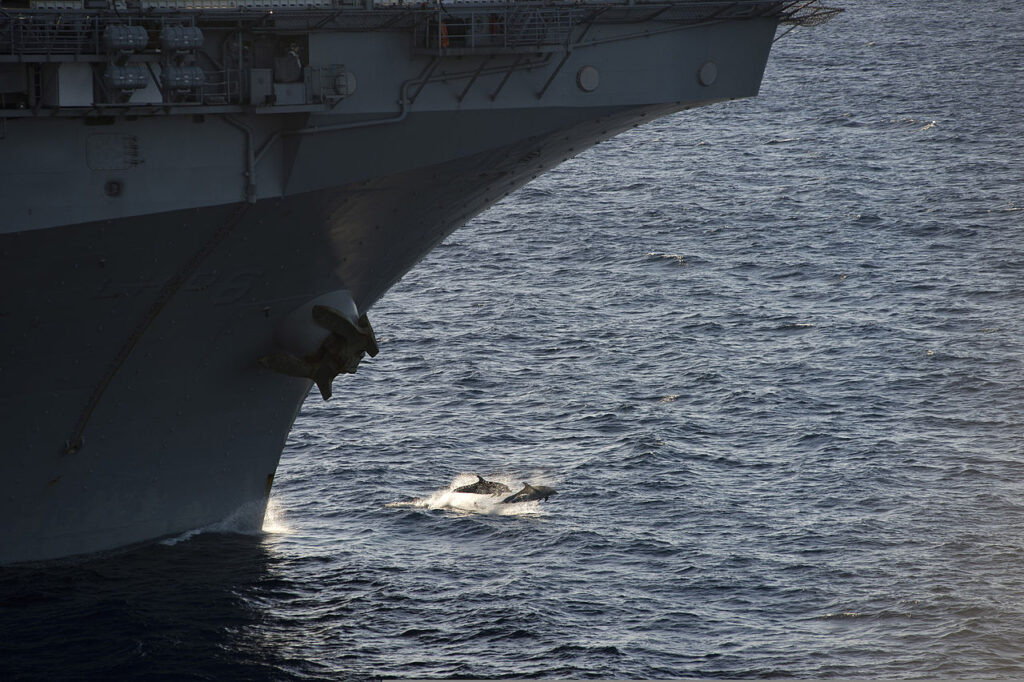 Dolphins-USS-Bonhomme-Richard